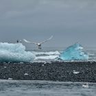 Fernweh: Island - Jökulsárlón - "im Anflug"