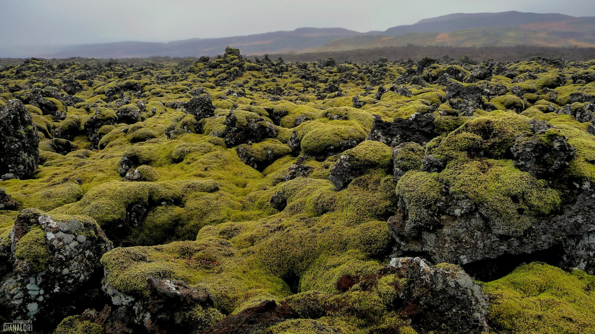 Fernweh: Island - Ljósufjöll - "Farben der Natur"