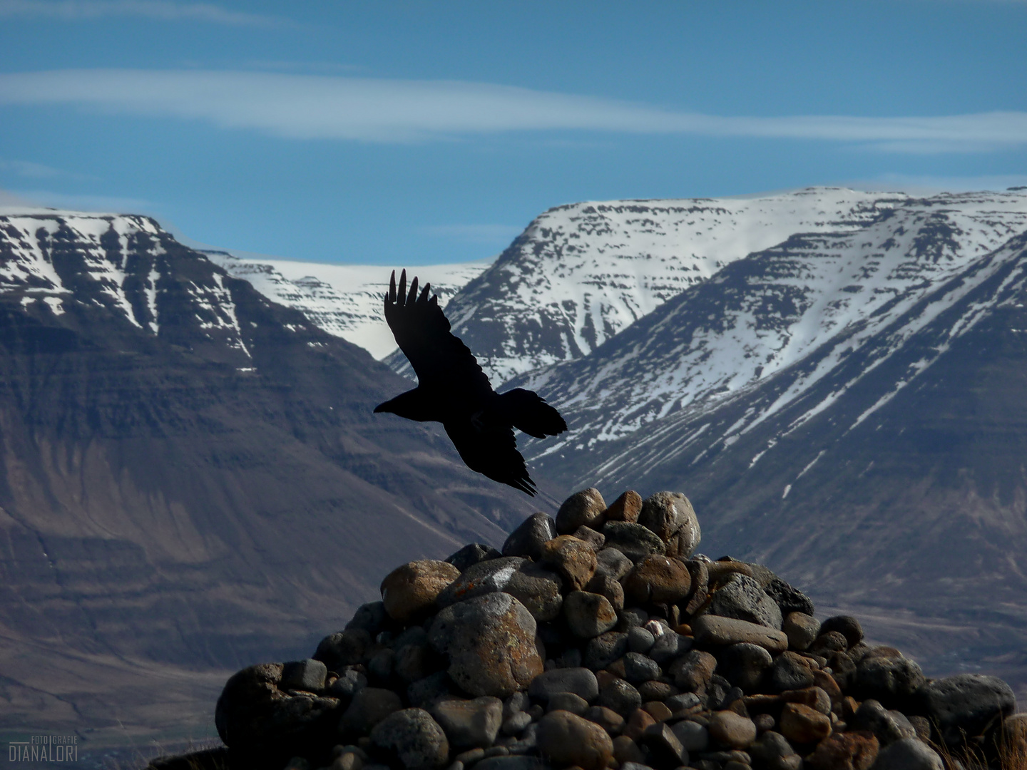 Fernweh: Island - Vatnsskarð - "freie Seele"