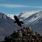 Fernweh: Island - Vatnsskarð - "freie Seele"