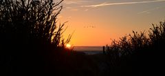 Fernweh Ostseeinsel Hiddensee