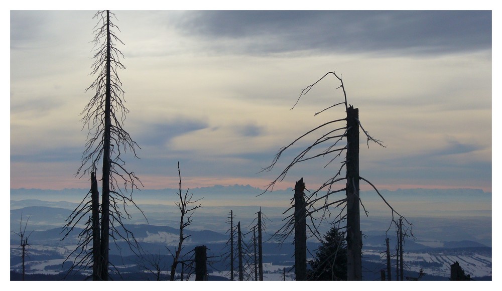 Fernweh - Richtung Dachstein