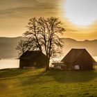 Fernweh Zürichsee