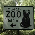 Fernziel: Zoo in  L.A.
