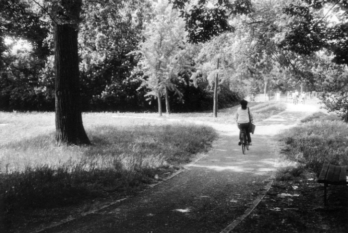 Ferrara and the Bicycles #2