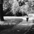 Ferrara and the Bicycles #2