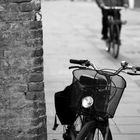 Ferrara and the Bicycles #5