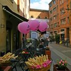 FERRARA saluta il Giro d'Italia