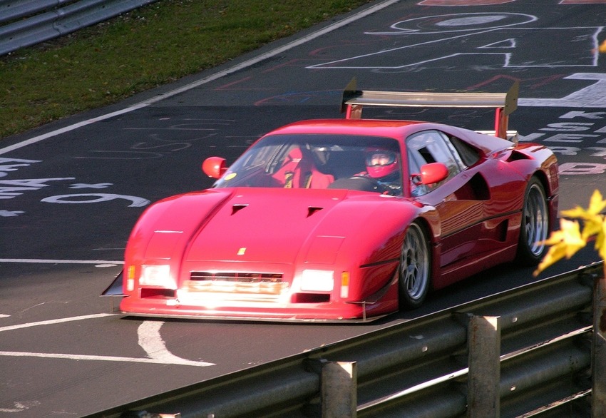 Ferrari 288 GTO Evoluzione - Pflanzgarten