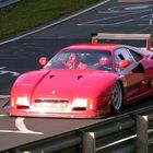 Ferrari 288 GTO Evoluzione - Pflanzgarten