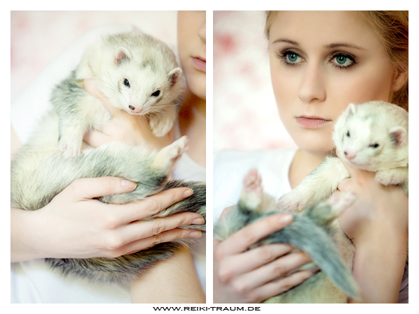 Ferret Onyx