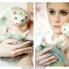 Ferret Onyx