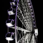 Ferris Wheel - Al Qasba