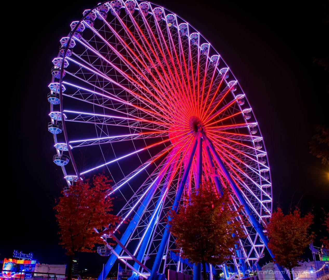 Ferris wheel at night