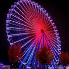 Ferris wheel at night