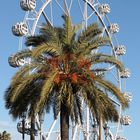 Ferris Wheel at the Barcelona Harbor, Spain