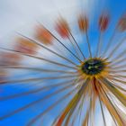 Ferris wheel