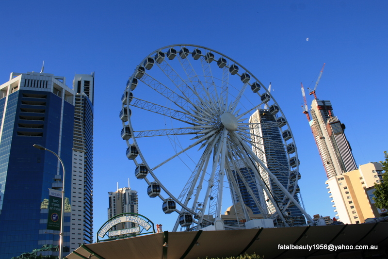 ferriswheel gold coast highrise