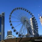 ferriswheel gold coast highrise