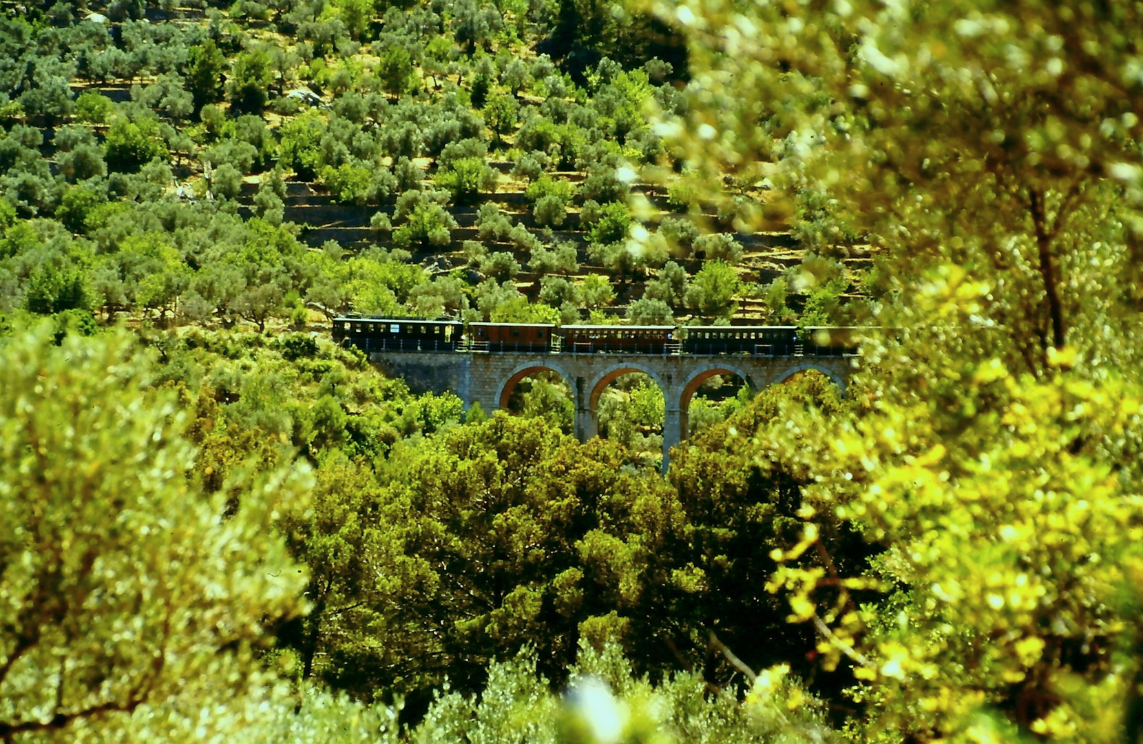 Ferrocarril de Soller: Viaduc de Cinc Ponts