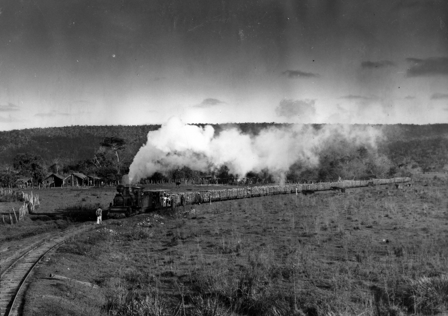 Ferrocarril transportando caña de azucar