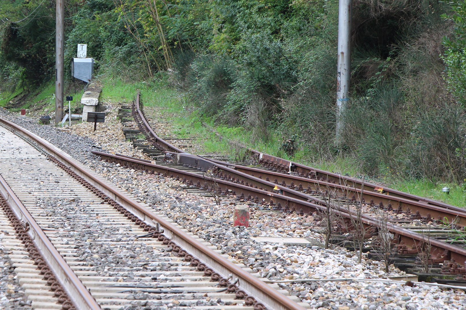 Ferrovia Porrettana. A futura Memoria.