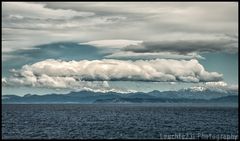 Ferry from the south to the north island