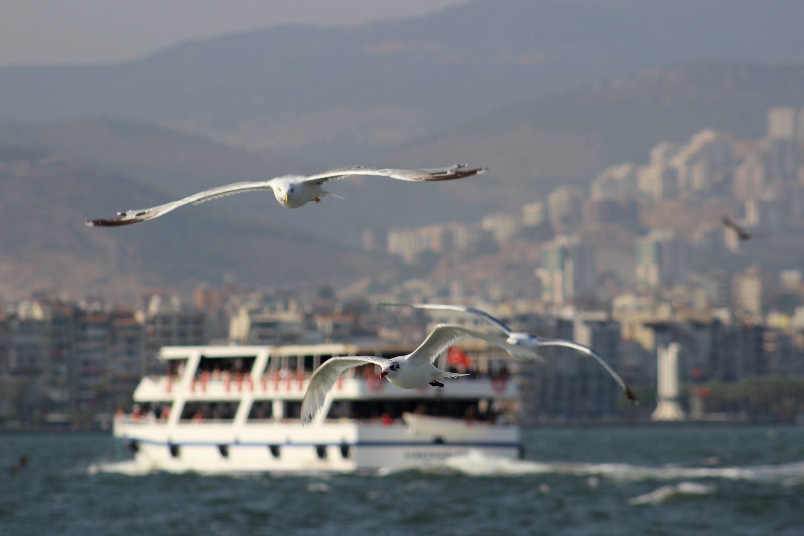 Ferry Tour / Izmir