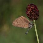 Fertig machen zum Abflug