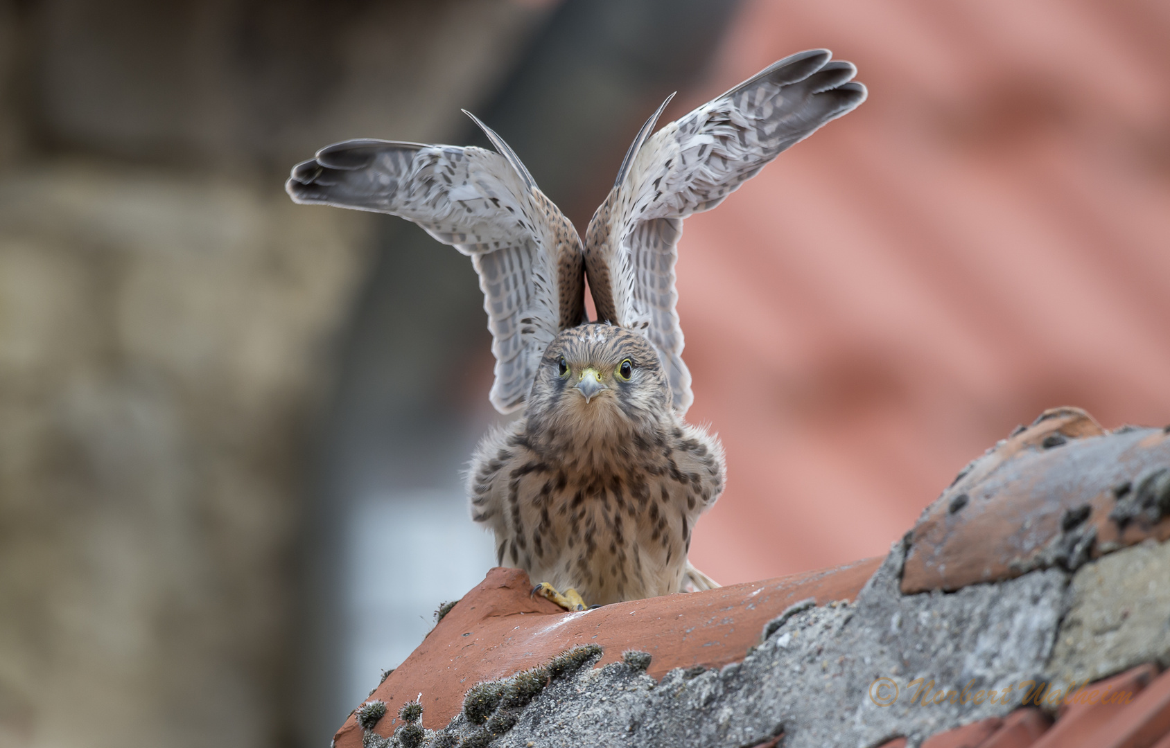 Fertig zum Abflug