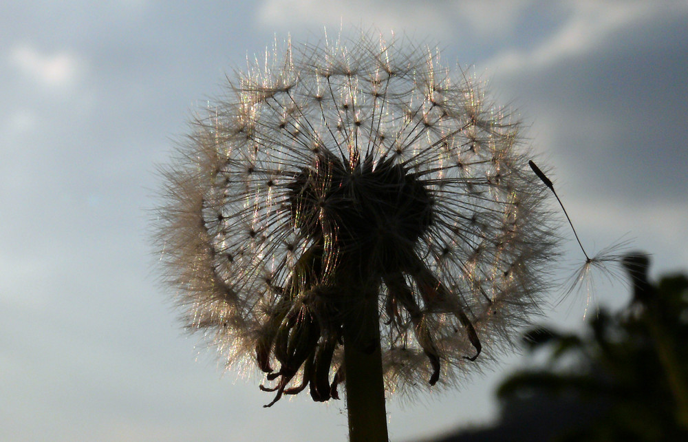 fertig zum Absprung