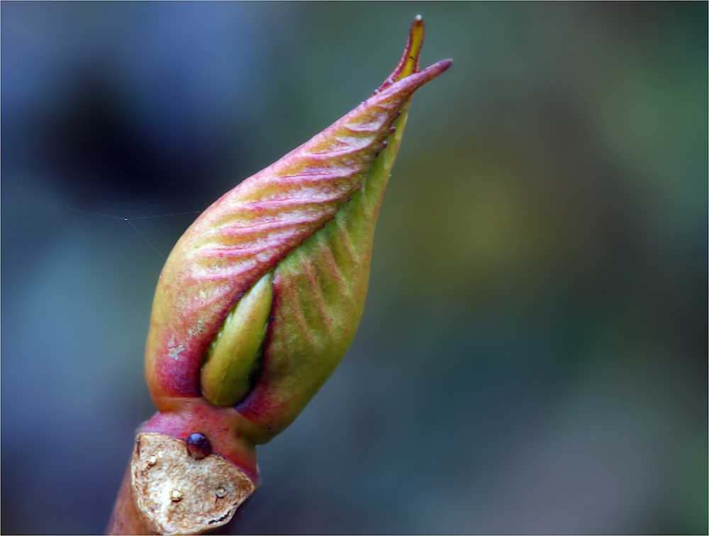 Fertigmachen für den Frühling