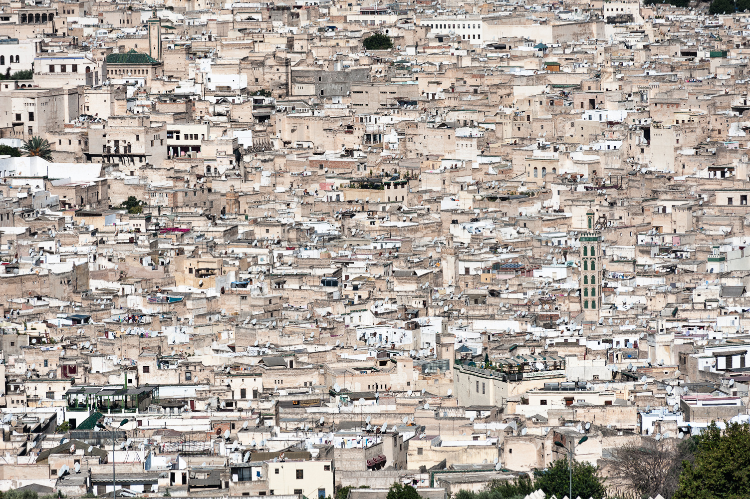 Fes früh am Morgen