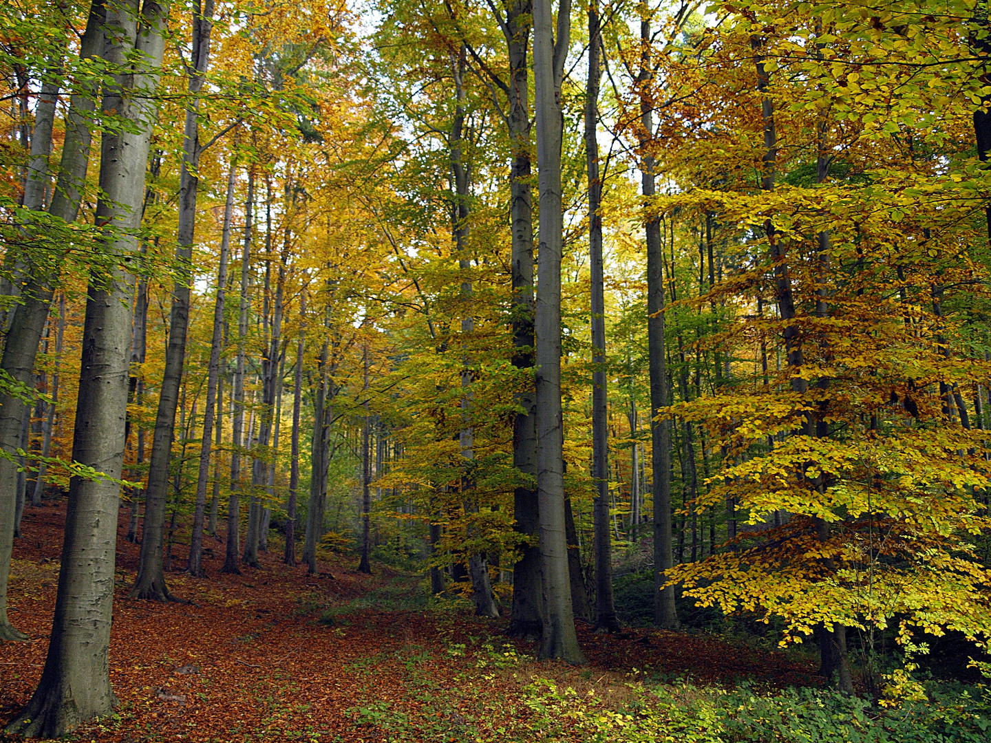 Fesselnde Herbststimmung