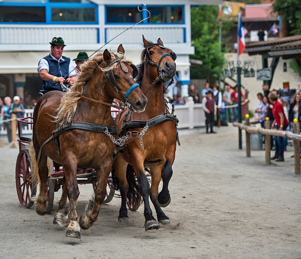 Fest der "Starken Pferde" in der Pullman City....