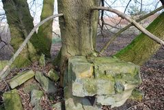 Fest gemauert in der Erden steht ein Baum aus Holz........