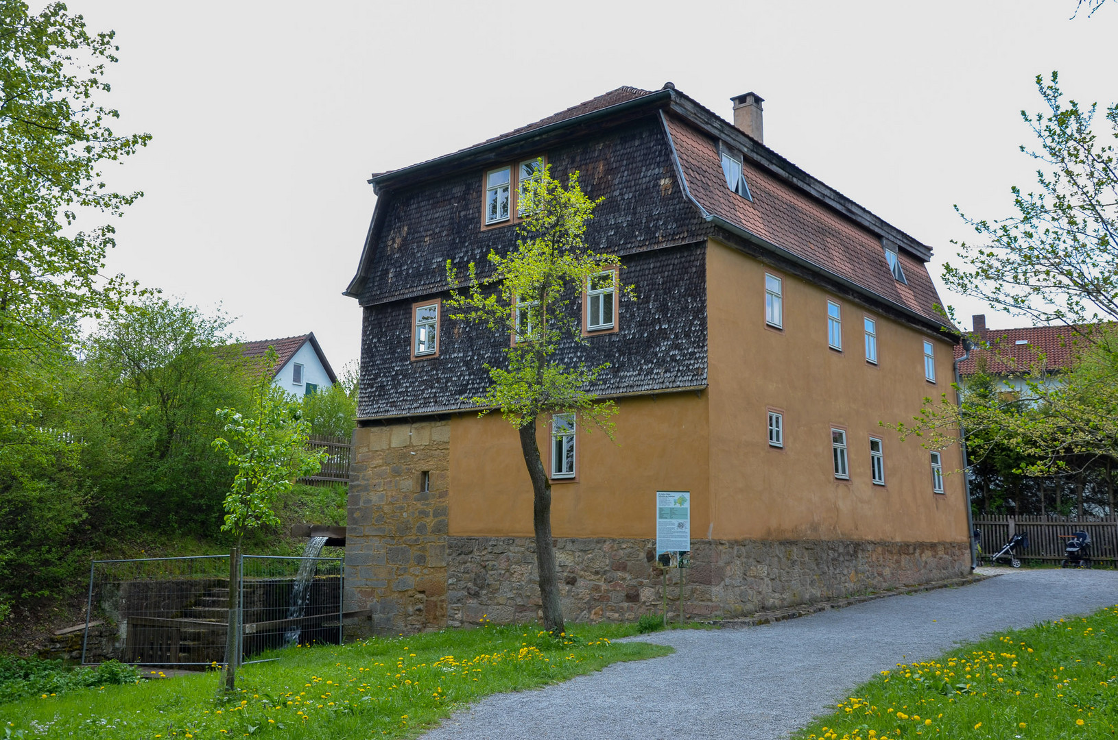 Fest in ihren Wurzeln