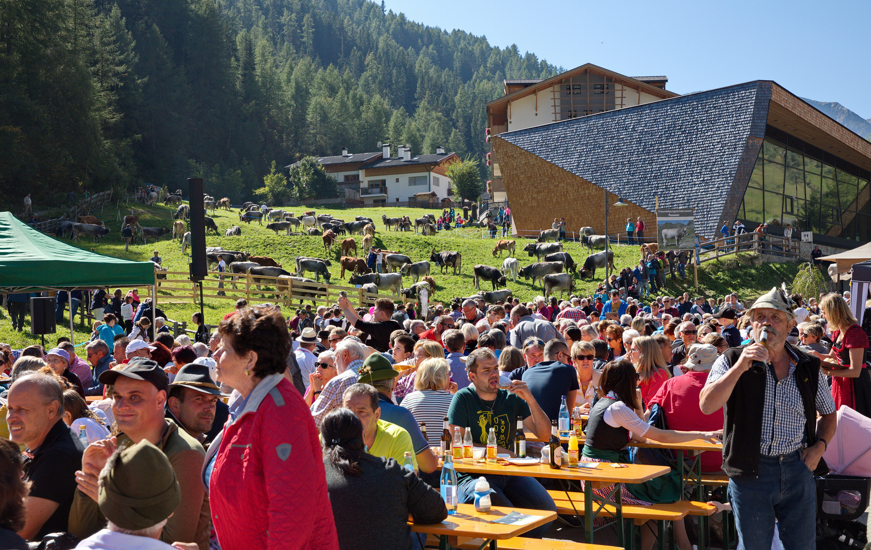 Fest zum Almabtrieb in Pfelders - Passeiertal - Südtirol