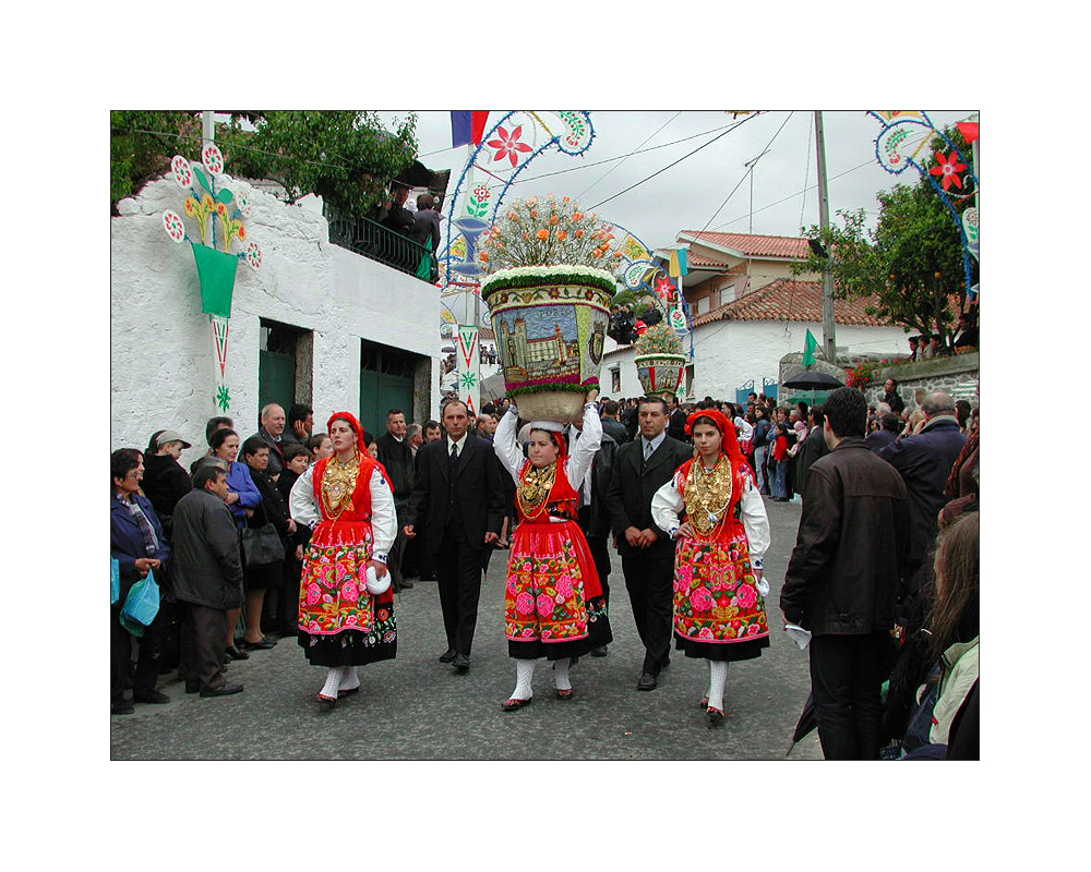 Festa das Rosas