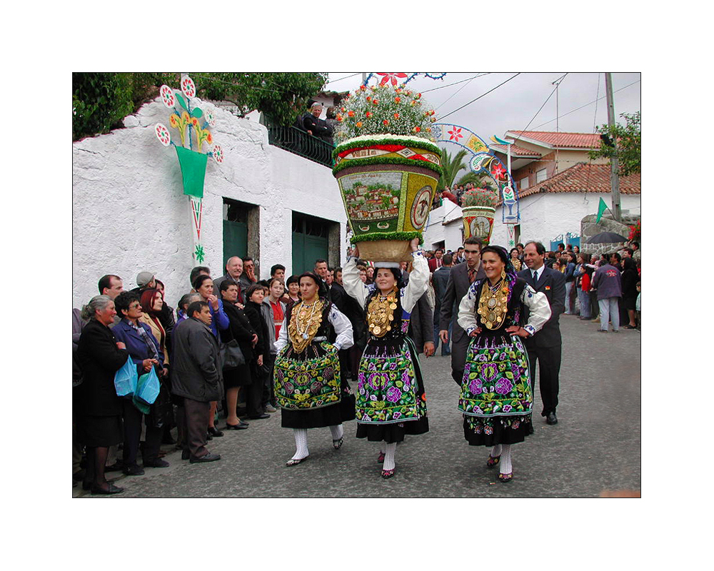 Festa das Rosas II