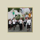  Festa das Rosas in Vila Franca do Lima