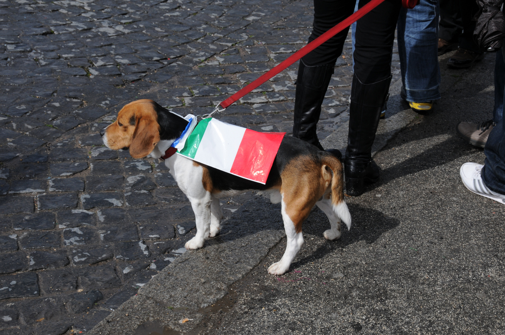 Festa del tricolore 17 marzo