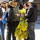 Festa della Donna