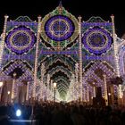 Festa di San Nicola a Bari 09-05-2014