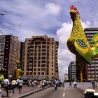 festa do galo