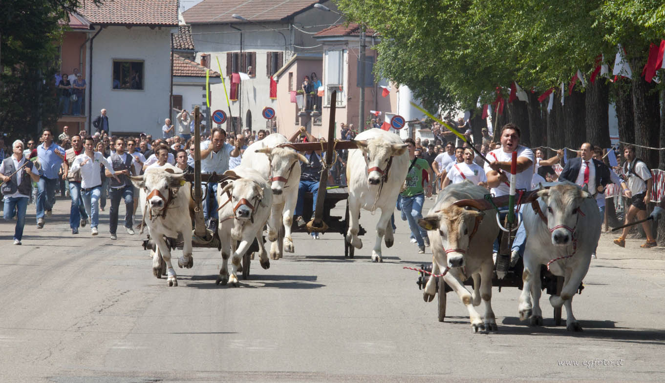 Festa Patronale