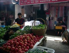 Feste, halbgrüne Fleischtomaten - ideal für Xihongshi Chao Jidan