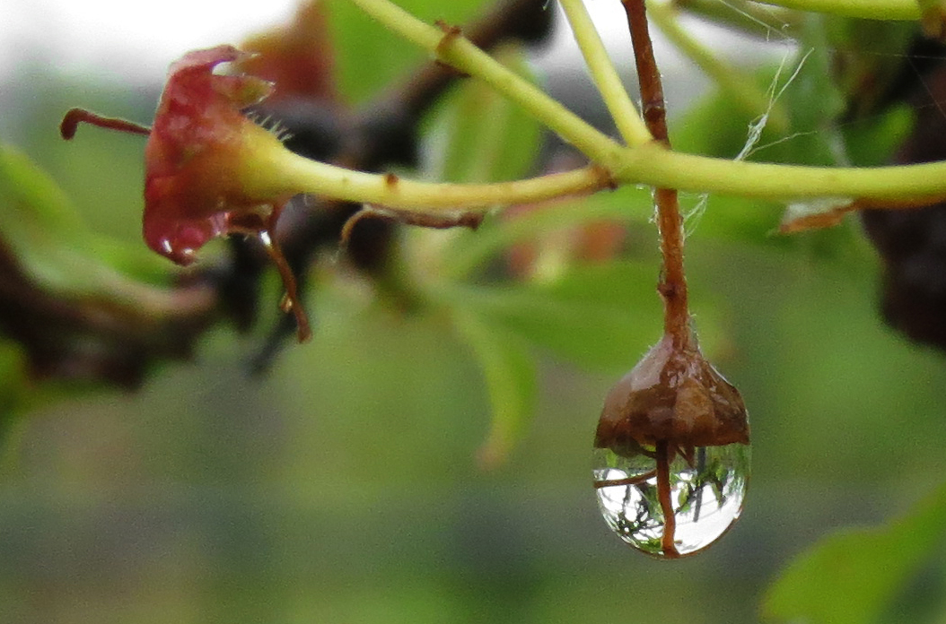 Festgehaltener Regen