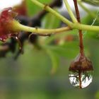 Festgehaltener Regen