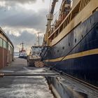 Festgemacht im Fischereihafen II, Bremerhaven